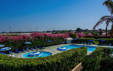 Baraka Apartments: Azul, Jardín, Paisajismo, Césped, Cobertura, Recurso, Piscina, Parque, Jardín Botánico