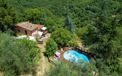 Villa La Vigna: Planta, Planta De La Comunidad, Paisaje Natural, Árbol, Edificio, Vegetación, Biome, Casa, Ocio, Paisaje