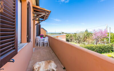 Alojamiento:&nbsp;La Casina 650.3