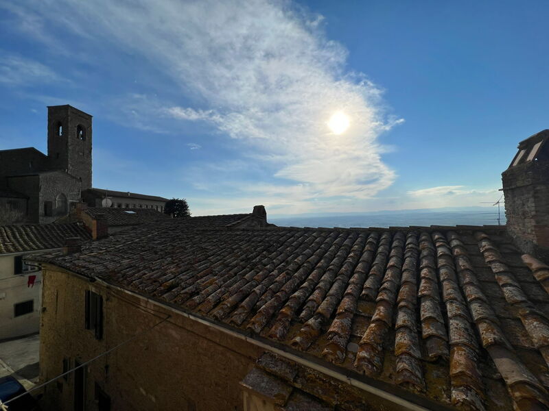 Panoramic view