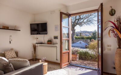 Paradiso Deluxe: Propiedad, Planta, Sofá, Madera, Planta De Casa, Diseño De Interiores, Sombra, Piso, Suelo, Sala