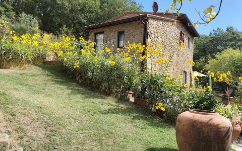 Casa Bosco D'arte Holiday Home , Greve In Chianti,: Flor, Planta, Edificio, Planta De La Comunidad, Ventana, Cielo, Paisaje Natural, Árbol, Casa, El Terreno Del Lote