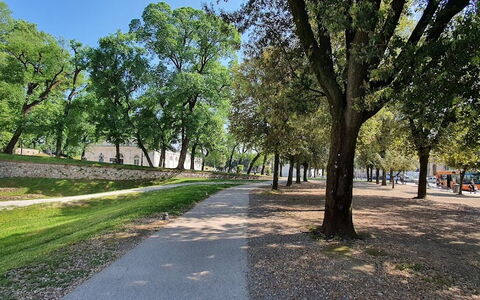 Residenza Otello: Planta, Cielo, Árbol, Superficie De La Carretera, Sombra, Paisaje Natural, Vía Pública, Hierba, Paisaje, Asfalto