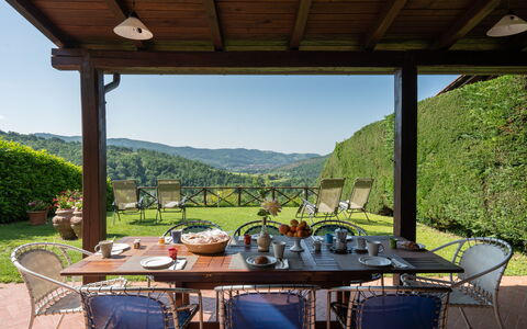 Villa Olivi - Subbiano, Toscana, Pool And Nature: Mesa, Planta, Propiedad, Mueble, Silla, Cielo, Naturaleza, Sombra, Porche, Maceta