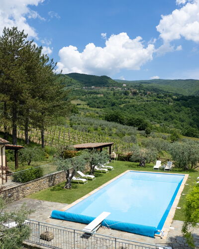 Villa Olivi - Subbiano, Toscana, Pool And Nature