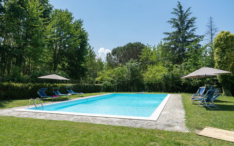 Villa Le Selve: Planta, Propiedad, Cielo, Agua, Piscina, Sombra, Árbol, Edificio, El Terreno Del Lote, Hierba
