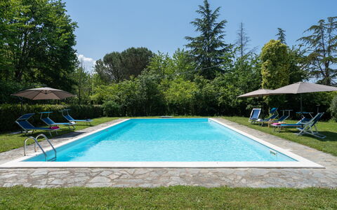 Villa Le Selve: Agua, Planta, Piscina, Cielo, Rectángulo, Sombra, Árbol, Hierba, Ocio, Bienes Raíces
