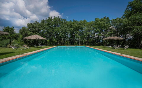 Belvedere - Falceto, Ambra, Toscana: Agua, Nube, Planta, Propiedad, Piscina, Cielo, Azur, Árbol, Sombra, Material Compuesto
