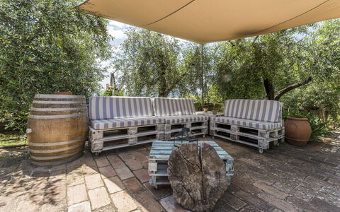 Casa Anita - Castellina In Chianti - Granaio, Tosc: Propiedad, Planta, Mesa, Barril, Madera, Árbol, Mueble Para Exteriores, Hierba, Sombra, Pared