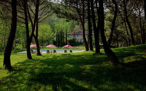 Villa Dell'abate: Planta, Paisaje Natural, Sombra, Botánica, Árbol, Rama, Vegetación, Luz De Sol, El Terreno Del Lote, Hierba