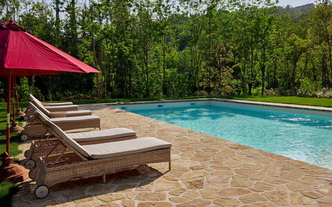 Villa Dell'abate: Agua, Planta, Piscina, Árbol, Madera, Sombra, Rectángulo, Cielo, Ocio, Mueble Para Exteriores
