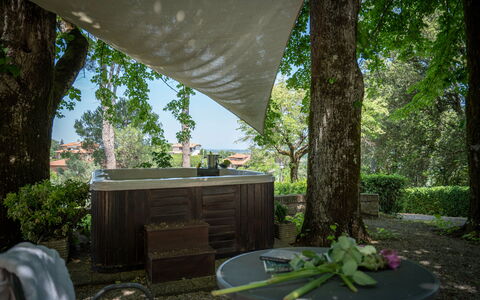 Villa Recanati, Val D'orcia, Private Pool, Jacuzzi: Planta, Mesa, Hoja, Edificio, Naturaleza, Árbol, Botánica, Sombra, Encendiendo, Madera