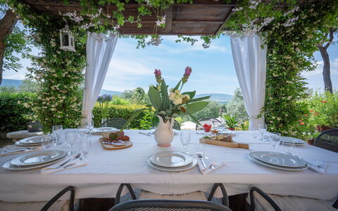 Villa Recanati, Val D'orcia, Private Pool, Jacuzzi: Mesa, Vajilla, Planta, Mueble, Silla, Vajilla, Manteles, Cielo, Diseño De Interiores, Decoración