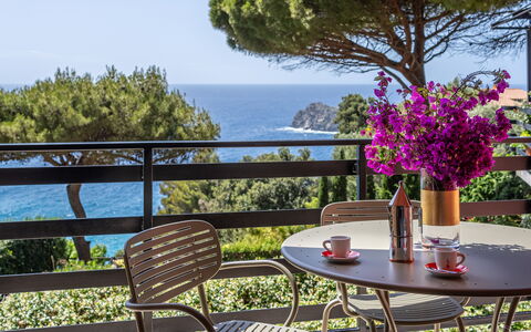 Argentarola House, Porto Santo Stefano, Seaview An: Flor, Planta, Mesa, Cielo, Mueble, Propiedad, Maceta, Naturaleza, Silla, Edificio