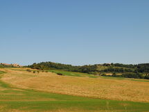 Lina - Podere Ribatti - Casole D'elsa, Toscana