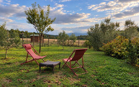 Alice - Podere Ribatti - Casole D'elsa, Toscana: Hierba, Hoja, Paisaje Natural, Paisaje, Verano, El Terreno Del Lote, Llanura, Mueble, Área Rural, Jardín