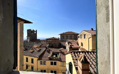 Panoramic view