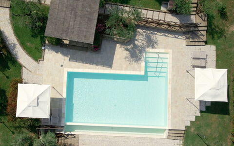 Villa Le Ripe - Gambassi Terme, Toscana: Planta, Verde, Naturaleza, Hoja, Agua, Botánica, El Terreno Del Lote, Diseño Urbano, Vegetación, Pendiente
