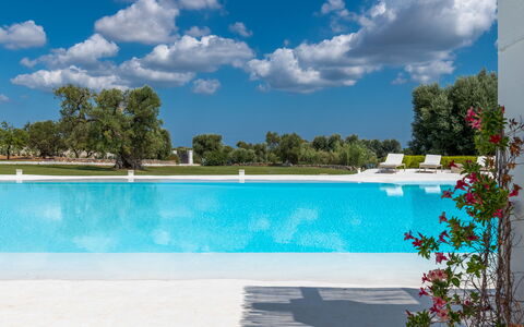 Masseria Isaia: Agua, Cielo, Nube, Planta, Propiedad, Piscina, Azul, Azur, Árbol, Mueble Para Exteriores