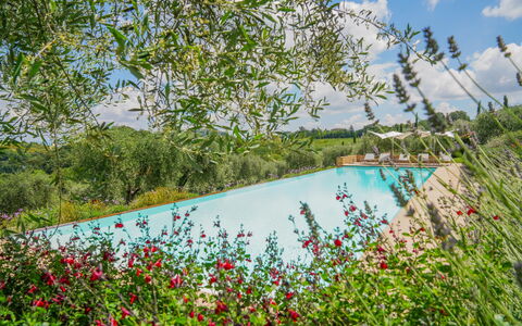 Villa Bartolomeo: Agua, Planta, Flor, Cielo, Nube, Naturaleza, Árbol, Paisaje Natural, Piscina, Hierba