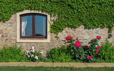 Villa Bagnoli: Flor, Planta, Ventana, Hoja, Botánica, Arquitectura, Vegetación, Edificio, Rectángulo, Hierba