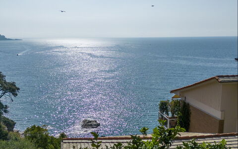 A Due Passi da Camogli 2, Seaview, Wifi: Agua, Cielo, Edificio, Azur, Vegetación, Costeras Y Los Accidentes Geográficos Oceánico, Planta, Mañana, Horizonte, Casa