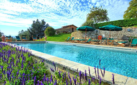 Villa Cona: Agua, Nube, Cielo, Flor, Planta, Piscina, Naturaleza, Azur, Árbol, Paisaje Natural