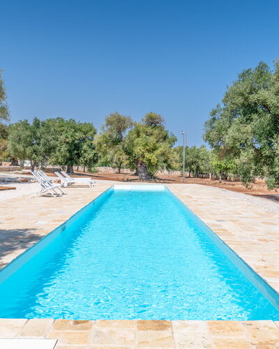Casa Di Veronica: Agua, Cielo, Piscina, Azur, Árbol, Sombra, Cuerpo De Agua, Planta, Ocio, Hierba