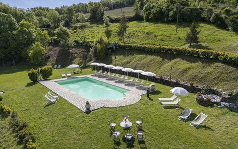 Podere Marcigliana - Radicondoli: Planta, Planta De La Comunidad, Agua, Árbol, El Terreno Del Lote, Vegetación, Hierba, Cielo, Piscina, Arbusto