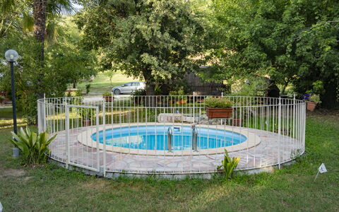 Podere Vallino: Planta, Árbol, Agua, Cerca, Sombra, Ocio, Inicio De Esgrima, Hierba, Recreación, Piscina