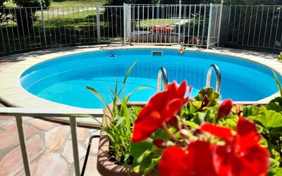 Podere Elsa: Agua, Flor, Planta, Edificio, Piscina, Maceta, Árbol, Azur, Botánica, Cerca