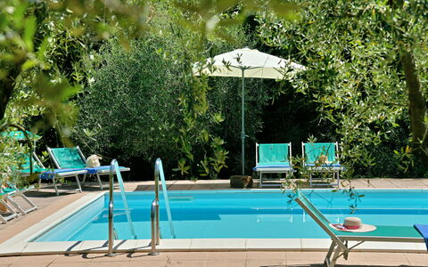 Torre Di Montelopio: Agua, Planta, Mueble, Verde, Piscina, Naturaleza, Árbol, Sombra, Mueble Para Exteriores, Paraguas