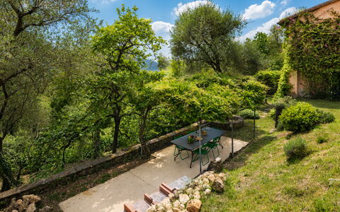La Casa Dei Limoni, Camaiore, Pet Friendly, Wifi: Hoja, Vegetación, Arbusto, Área Rural, Planta De La Comunidad, Jardín, El Terreno Del Lote, Cobertura Del Suelo, Primavera, Luz De Sol