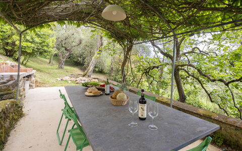 La Casa Dei Limoni, Camaiore, Pet Friendly, Wifi: Mueble, Mesa Al Aire Libre, Mueble Para Exteriores, Jardín, Luz De Sol, Sombra, Silla, Cocina Y Comedor Mesa, Patio Interior