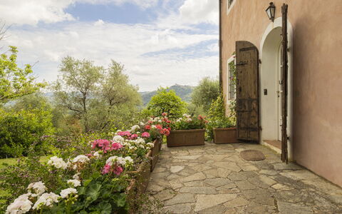 La Casa Dei Limoni, Camaiore, Pet Friendly, Wifi: Arbusto, Planta De La Comunidad, Jardín, Maceta, Planta De Casa, Losa