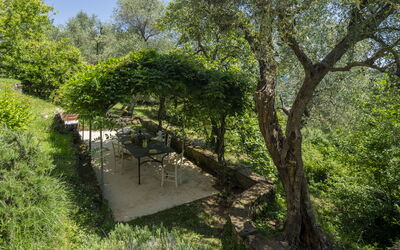 La Casa dei Limoni, Camaiore, Pet Friendly, Wifi - Camaiore, Toscana, Italia