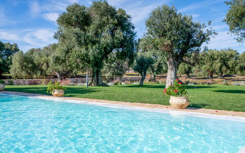 Tenuta Palù: Agua, Cielo, Planta, Nube, Árbol, Botánica, Piscina, Paisaje Natural, Hierba, Sombra
