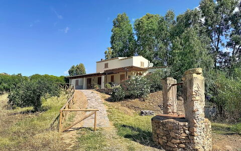 Eucalipto: Árbol, Área Rural, El Terreno Del Lote, Cabaña, Inmuebles, Casa De Campo, Patio Interior, Hacienda, Villa