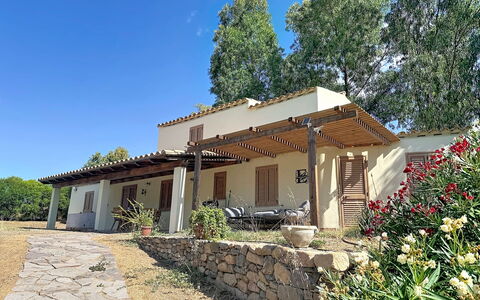 Eucalipto: Casa, Casa, Cabaña, Casa De Campo, Sombra, Inmuebles, Jardín, Hacienda, Patio Interior, Yarda