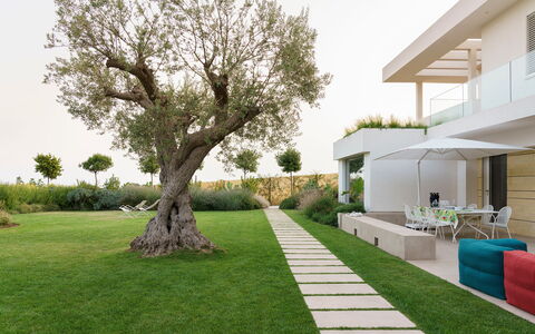 Splendida - Modica, Sicilia: Planta, Cielo, Verde, Edificio, Árbol, El Terreno Del Lote, Sombra, Diseño Urbano, Hierba, Casa