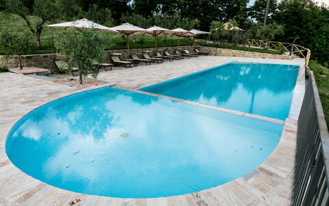 Villa Niccione: Agua, Planta, Piscina, Azur, Árbol, Rectángulo, Sombra, Agua, Material Compuesto, Ocio