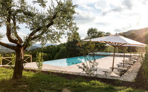 Villa Niccione: Planta, Agua, Cielo, Nube, Piscina, Sombra, Árbol, El Terreno Del Lote, Mueble Para Exteriores, Ocio