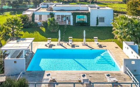 Masseriola Di Puglia: Planta, Edificio, Ventana, Verde, Azur, Piscina, Agua, Arquitectura, Sombra, Árbol
