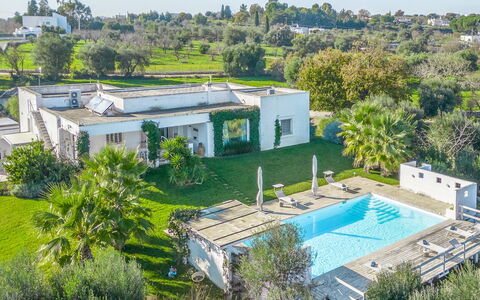 Masseriola Di Puglia: Planta, Edificio, Árbol, Botánica, El Terreno Del Lote, Ventana, Diseño Urbano, Barrio Residencial, Barrio, Casa