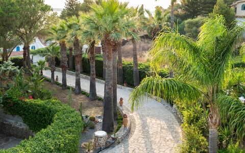 Villa Diamante - Siracusa, Sicilia: Planta, Planta De La Comunidad, Edificio, Botánica, Árbol, Vegetación, Arecales, Ventana, Planta Terrestre, Plantas Leñosas