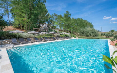 Coratina Spereto Apartment with Pool, Montaione: Agua, Planta, Los Recursos Hídricos, Propiedad, Cielo, Piscina, Nube, Azur, Árbol, Paisaje Natural