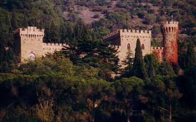 Palazzo Trasimeno: Planta, Paisaje Natural, Edificio, Árbol, Vegetación, Paisaje, Ciudad, Castillo, Colina, La Arquitectura Medieval