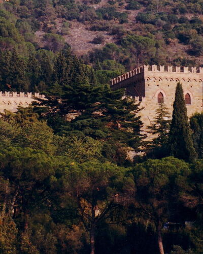 Palazzo Trasimeno: Planta, Paisaje Natural, Edificio, Árbol, Vegetación, Paisaje, Ciudad, Castillo, Colina, La Arquitectura Medieval