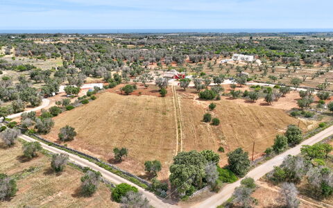 Lamia del Grano: Cielo, Planta, Planta De La Comunidad, Ecorregión, Árbol, El Terreno Del Lote, Nube, Vegetación, Diseño Urbano, Barrio Residencial