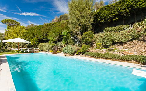 Villa Il Sole Di Sorrento: Agua, Planta, Nube, Piscina, Cielo, Azul, Naturaleza, Azur, Sombra, Árbol